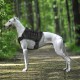 Harnais tactique F100 Gilets canins59,00 €