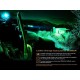 FENIX TK25 INFRA 1000 LUMENS Lampes Tactiques FENIX95,00 €
